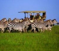 Singita